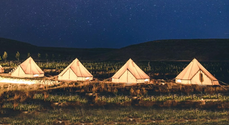 仰望漫天繁星,感受帐篷酒店露营的魅力