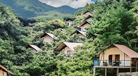 环保命题下的住宿选择：帐篷酒店的轻量化VS传统民宿的在地化