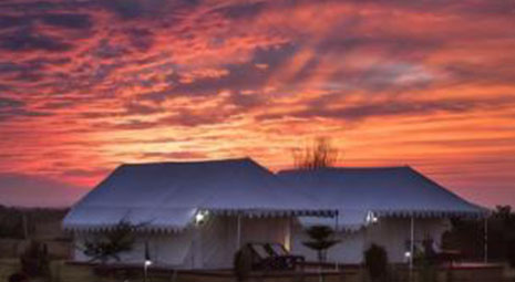 1000+项目淬炼，星途帐篷成文旅流量核心引擎